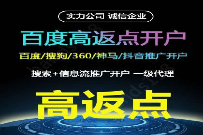 百度竞价广告投放的ROI优化：经典案例分享